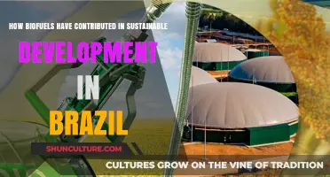 Brazil's Biofuel Revolution: Driving Sustainable Development and Green Energy