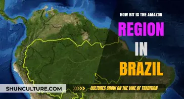 Exploring the Vast Amazon Region in Brazil: Size and Significance