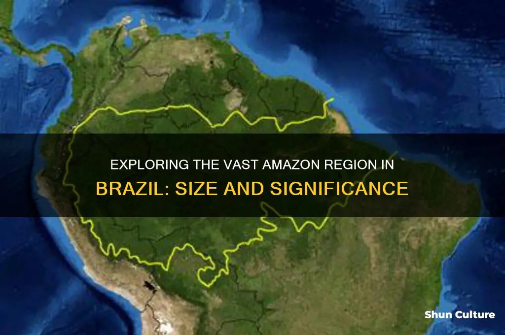 how bit is the amazon region in brazil