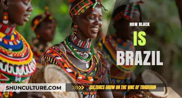 Exploring Brazil's African Heritage: Culture, Identity, and Racial Dynamics