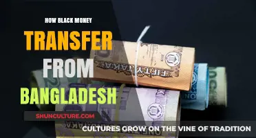Unveiling Bangladesh's Black Money Transfer: Methods, Routes, and Impact