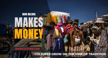 Bolivia's Economic Engine: A Country's Revenue Stream