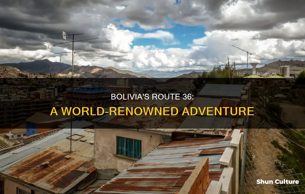 how bolivia