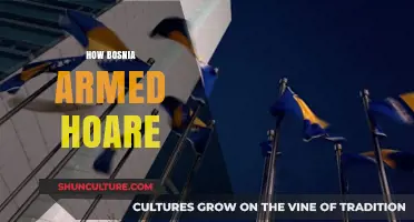 Bosnia's Armament: The Role of Hoare in the Conflict