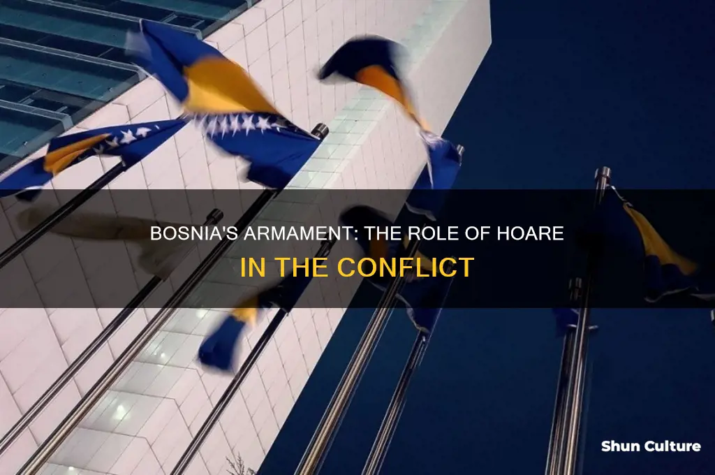 how bosnia armed hoare