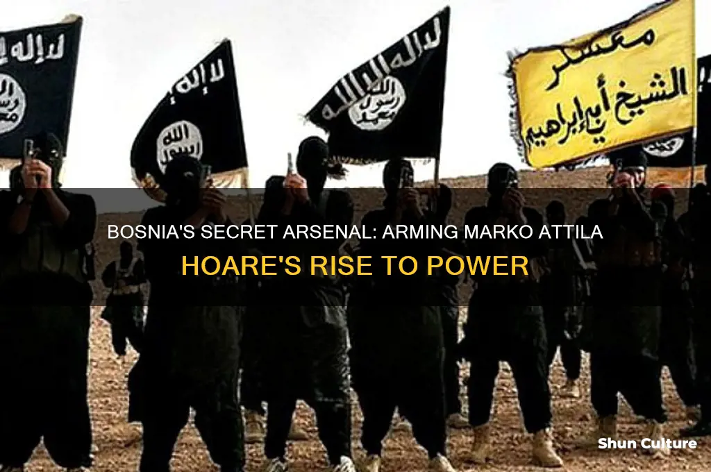 how bosnia armed marko attila hoare