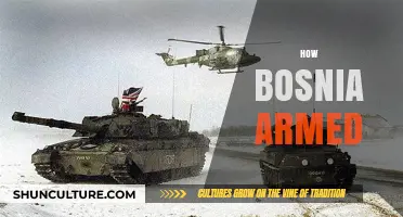 Bosnia's Armament Journey: A Historical Overview of Military Buildup