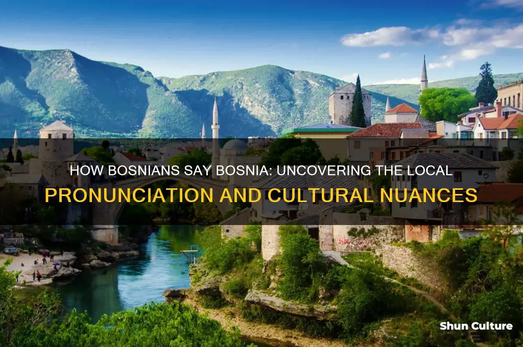 how bosnians say bosnia