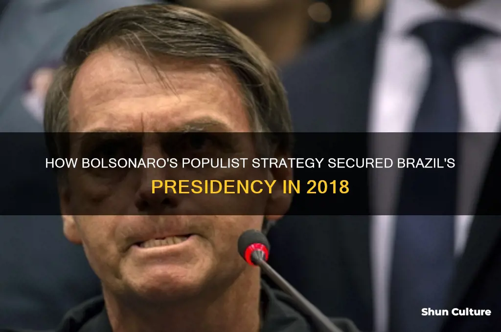 how bosonaro won brazil