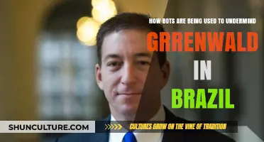Bots Unmasked: How Automated Attacks Undermine Glenn Greenwald in Brazil