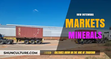 Botswana's Strategic Mineral Marketing: Unlocking Economic Growth and Global Partnerships