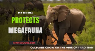 Botswana's Conservation Success: Safeguarding Megafauna Through Innovative Strategies