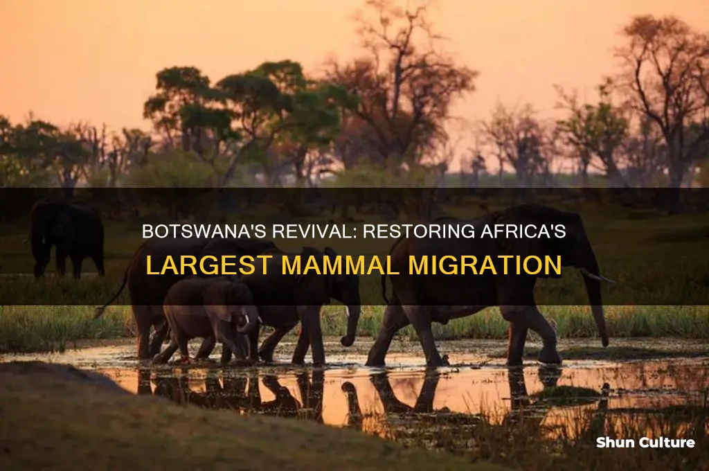 how botswana revived africa