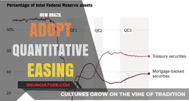 Brazil's Economic Shift: Embracing Quantitative Easing for Growth and Stability