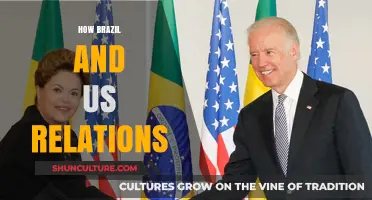 Brazil-US Relations: Economic, Political, and Cultural Ties Explored