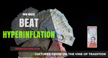 Brazil's Triumph Over Hyperinflation: Strategies for Economic Stability