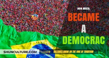 Brazil's Democratic Journey: Overcoming Dictatorship and Embracing Freedom