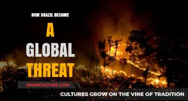 Brazil's Rise: From Regional Power to Global Threat