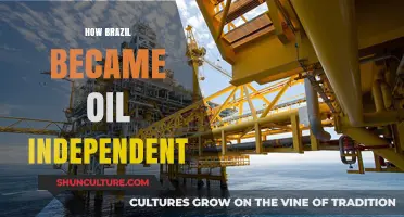 Brazil's Energy Revolution: The Journey to Oil Independence