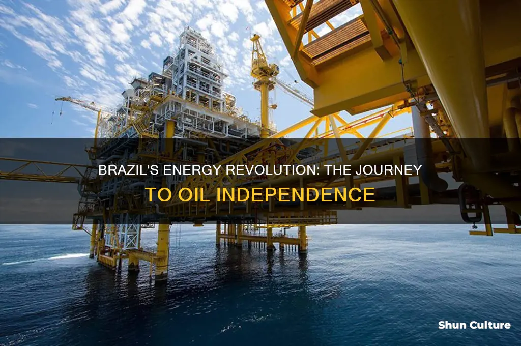how brazil became oil independent