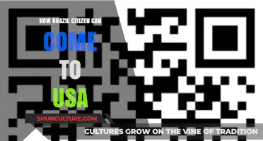 How Brazilian Citizens Can Enter the USA: A Comprehensive Guide