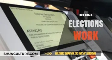 Understanding Brazil's Electoral System: A Comprehensive Guide to Voting