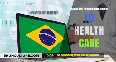 Brazil's Universal Health Care: Strategies for Full Access and Equity