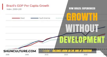 Brazil's Paradox: Economic Growth Without Social Development Explained