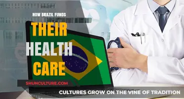 Brazil's Healthcare Funding: A Comprehensive Look at Its Financial Model