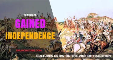 Brazil's Path to Freedom: The Journey to Independence