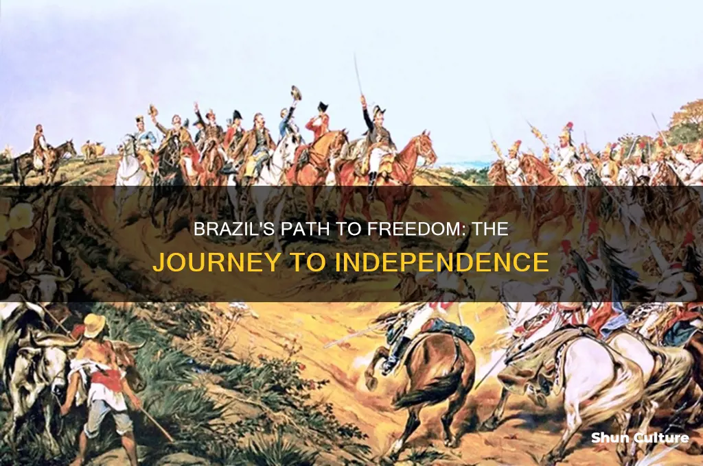 how brazil gained independence