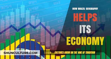 Brazil's Diverse Geography: A Key Driver of Economic Growth and Prosperity