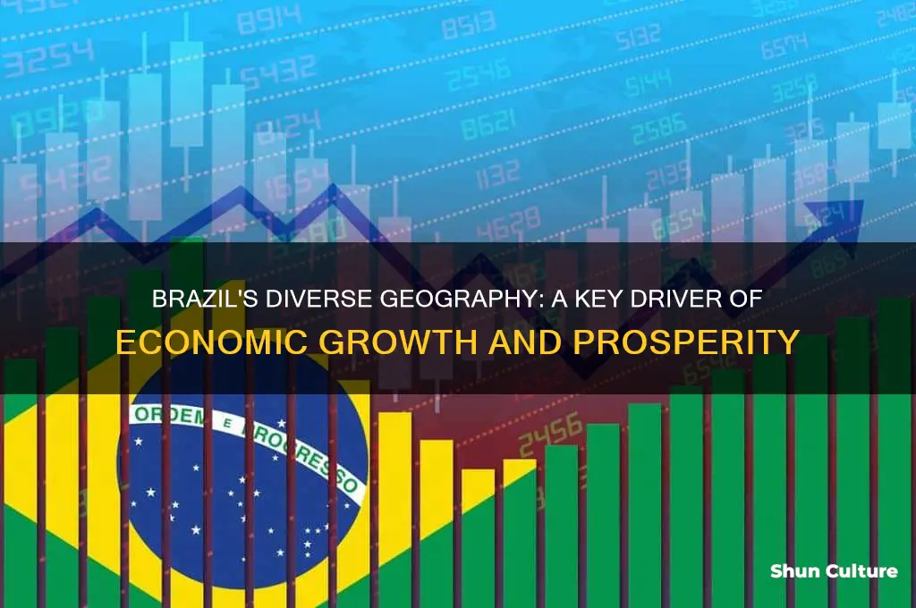 how brazil geography helps its economy