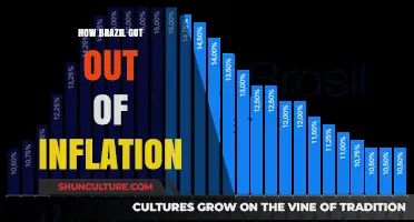 Brazil's Economic Triumph: Escaping Hyperinflation and Stabilizing the Economy