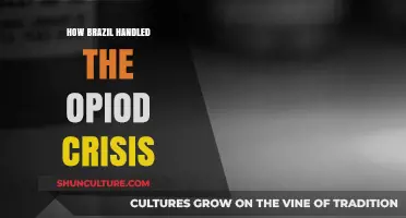 Brazil's Unique Approach to Combating the Opioid Crisis