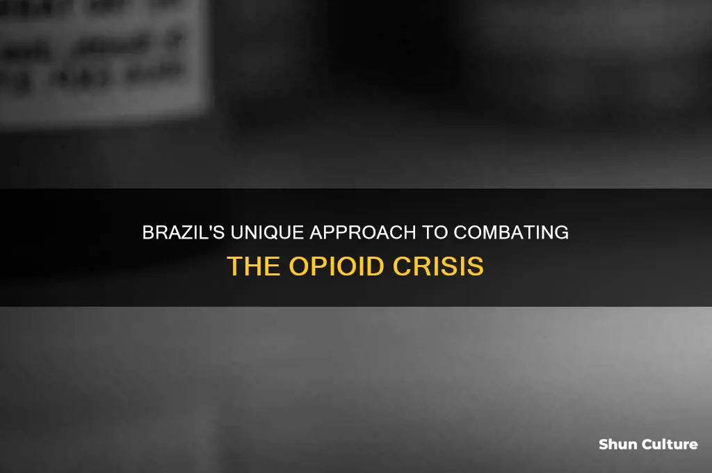 how brazil handled the opiod crisis