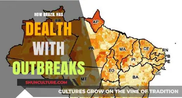 Brazil's Resilience: Strategies and Lessons from Managing Disease Outbreaks