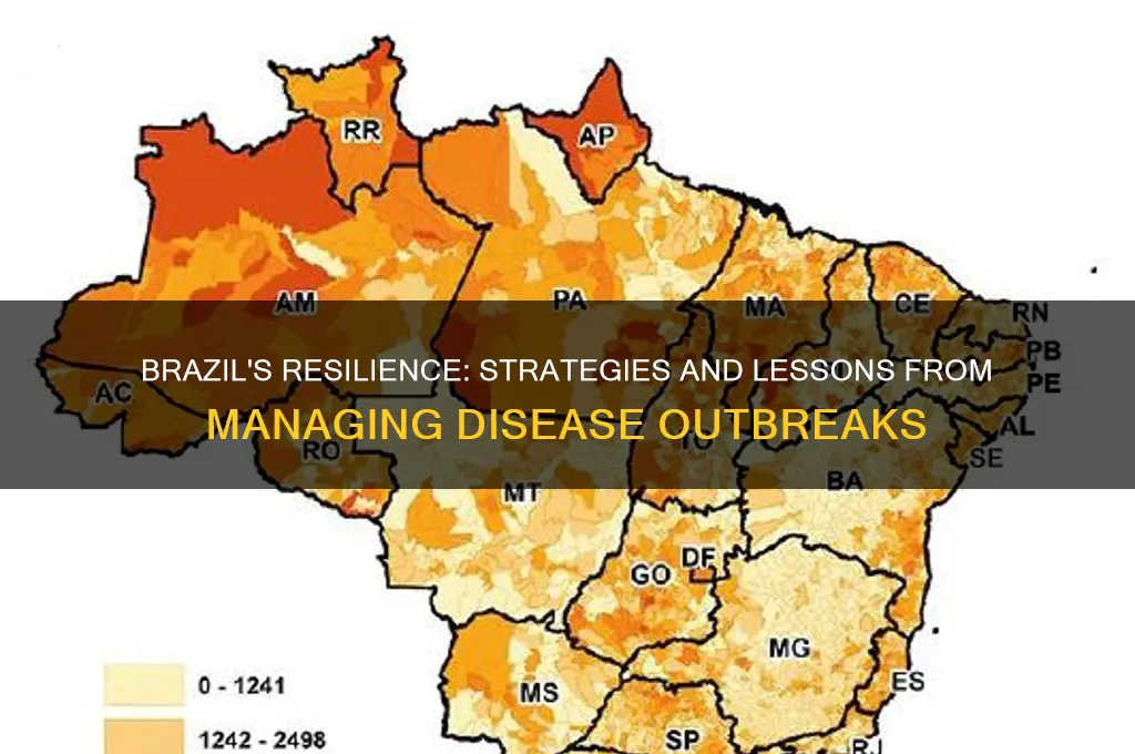 how brazil has dealth with outbreaks