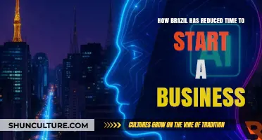 Brazil's Business Revolution: Streamlining Startup Processes for Faster Launches
