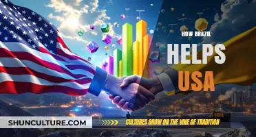 Brazil's Strategic Partnerships: Boosting U.S. Economy, Security, and Global Influence