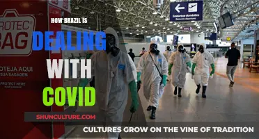 Brazil's COVID-19 Battle: Strategies, Challenges, and Recovery Efforts