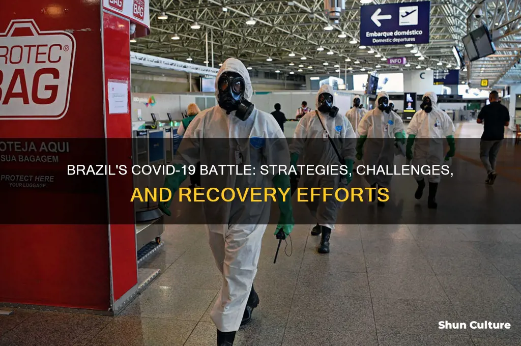 how brazil is dealing with covid