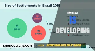 Brazil's Growth Trajectory: Economic, Social, and Sustainable Development Insights