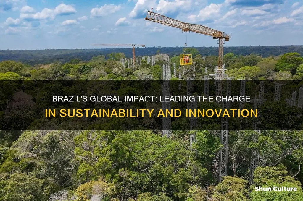 how brazil is saving the world