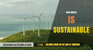 Brazil's Green Revolution: Sustainable Practices Leading the Way