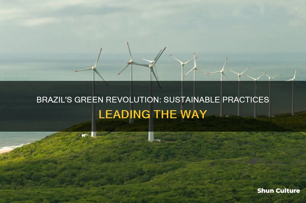 how brazil is sustainable