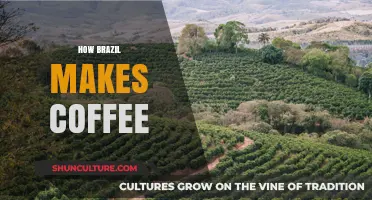 Exploring Brazil's Coffee Craft: From Bean to Brew