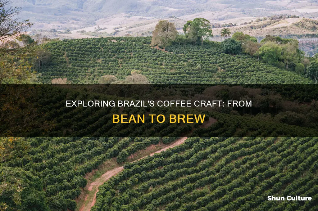 how brazil makes coffee