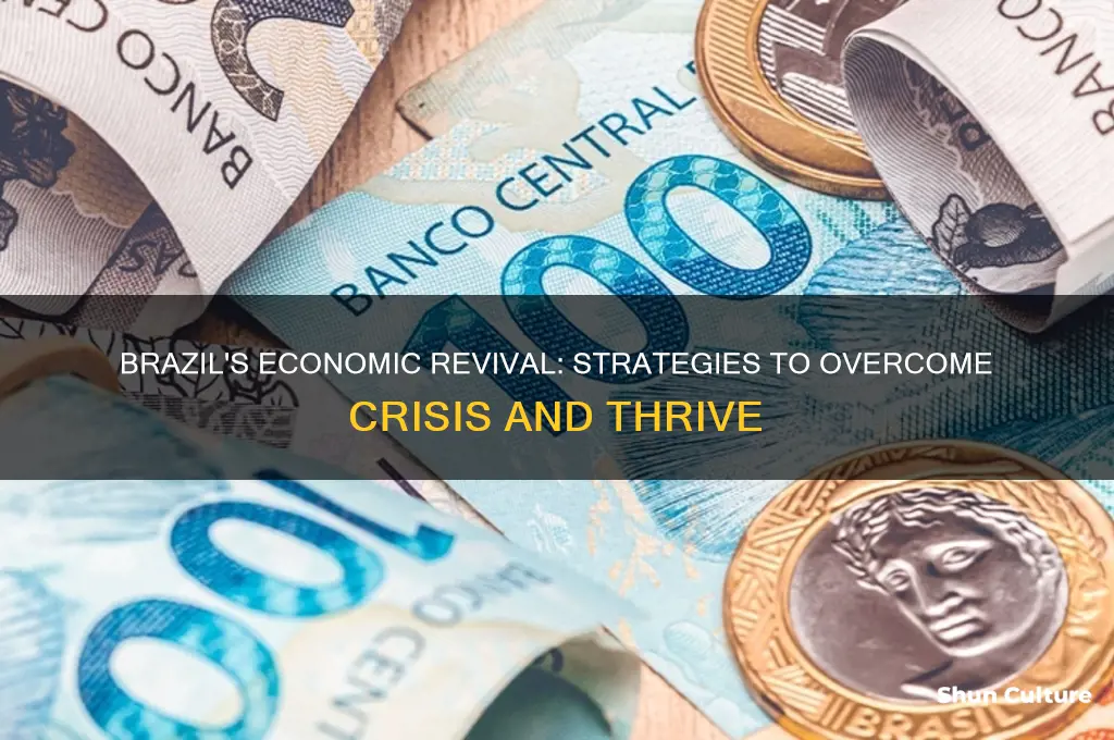 how brazil overcome from a economic crisis