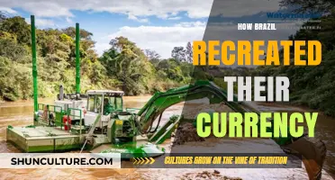 Brazil's Bold Move: Recreating the Real and Reviving the Economy